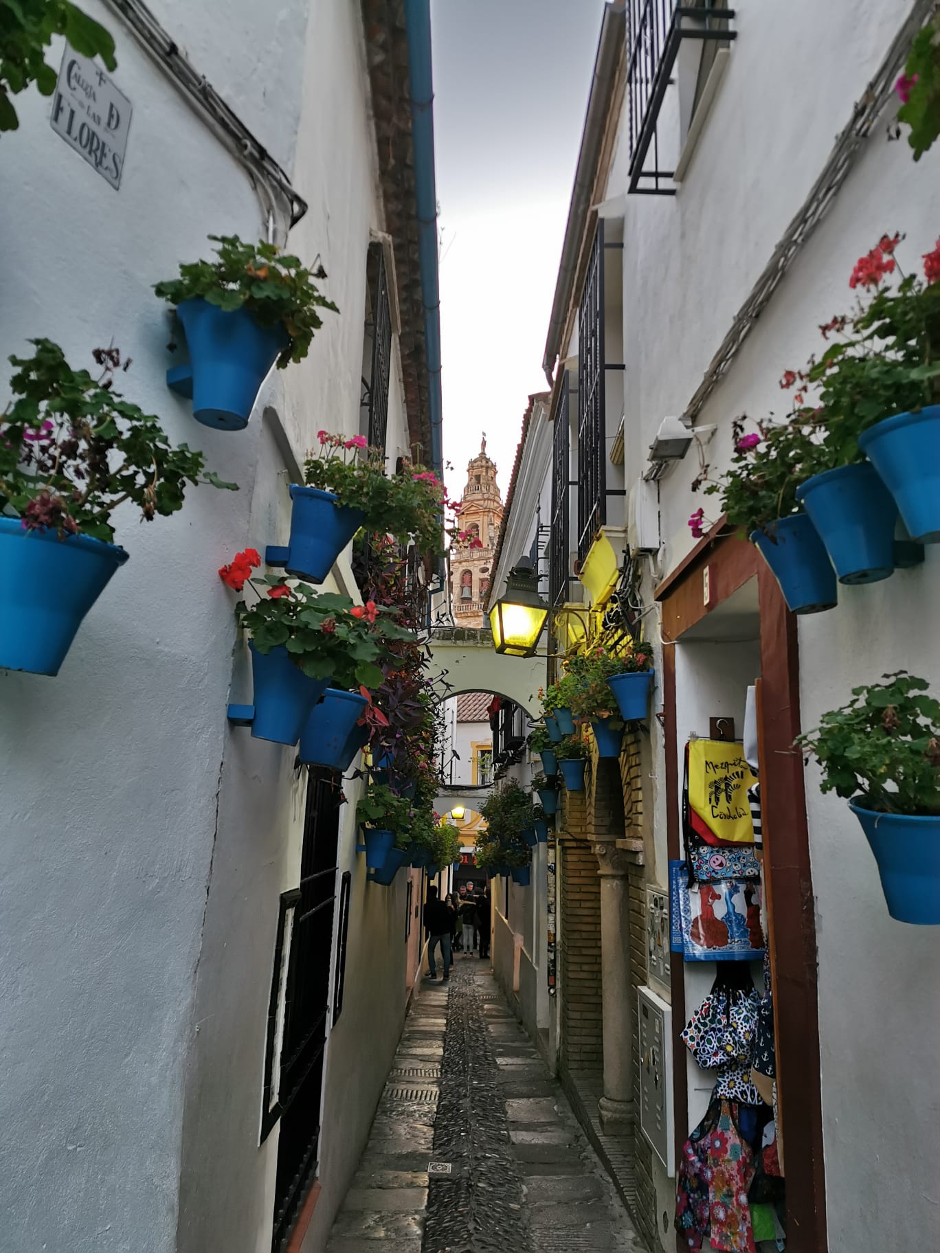 calleja de las flores.jpg